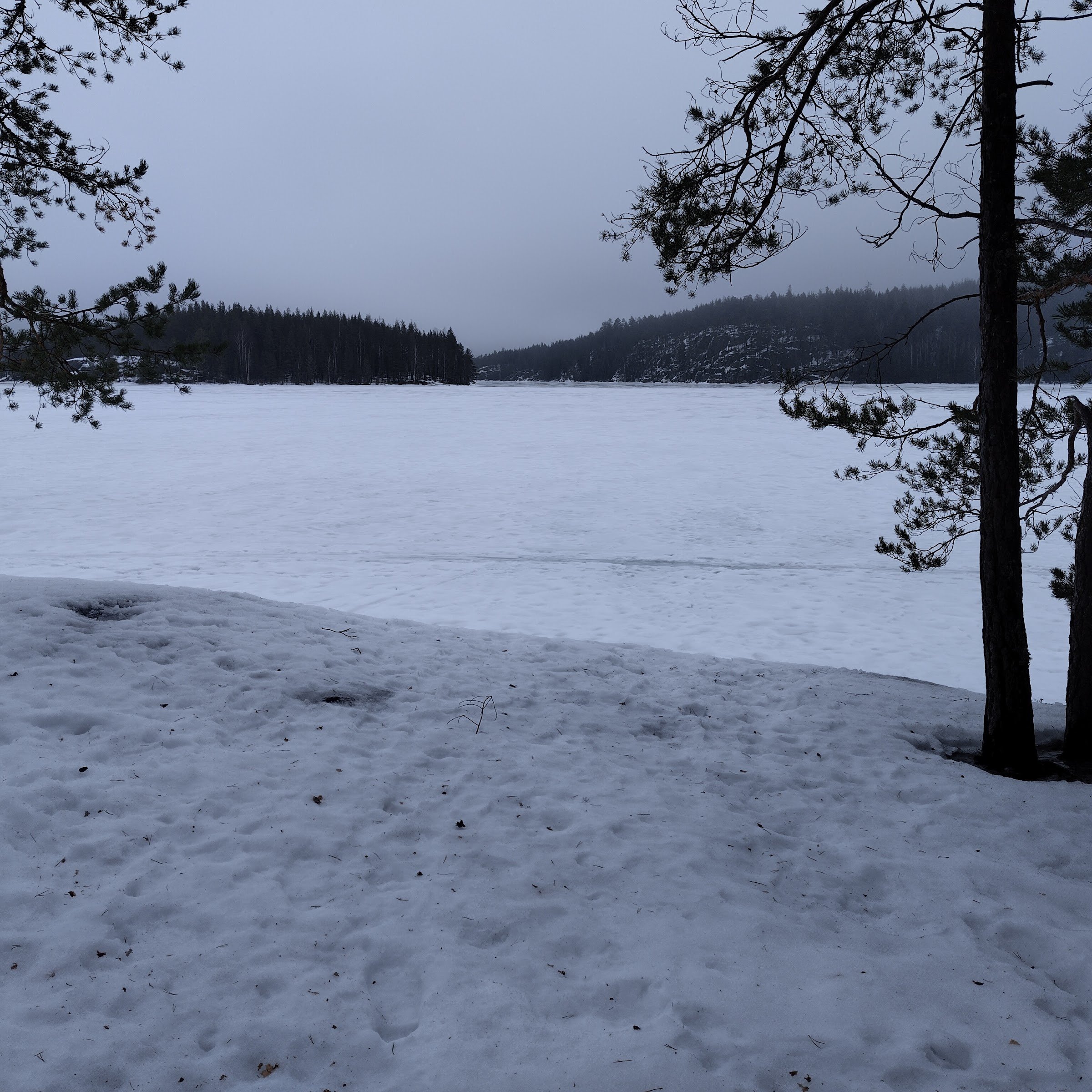 Talas Campfire Site (Talas tulipaikka) - Repovesi National Park